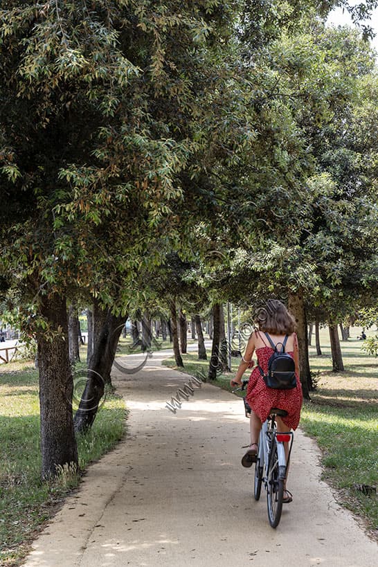 Ciclista nel Parco della Versiliana: Percorsi nella Pineta Toscana