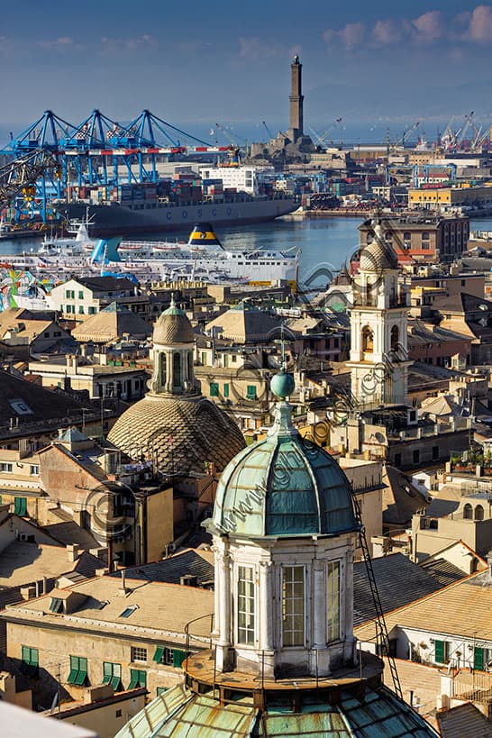 Veduta di Genova dalla Torre Grimaldina del Palazzo Ducale: Panorama Iconico
