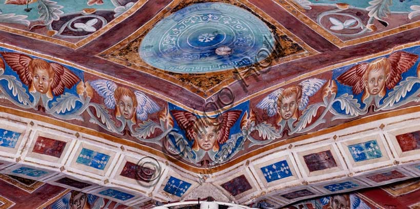 Affresco di Cimabue: costolone con putti, Volta Evangelisti Assisi