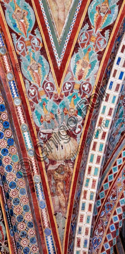 Volta degli Evangelisti: affresco di Cimabue con telamone e motivi vegetali