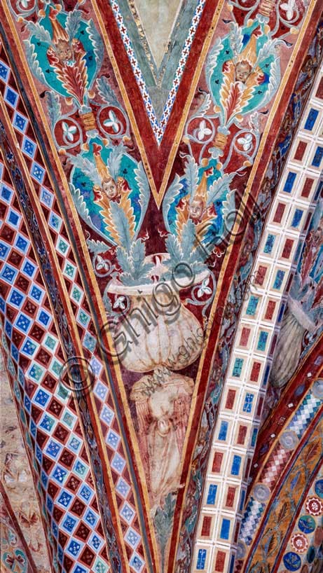 Cimabue: pennacchio con telamone, Basilica di San Francesco, Assisi