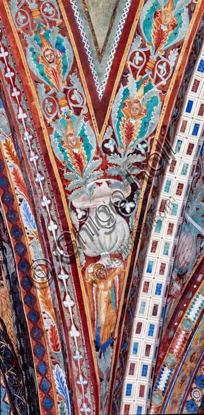 Affresco di Cimabue nella Basilica Superiore di Assisi: Volta degli Evangelisti con Telamone