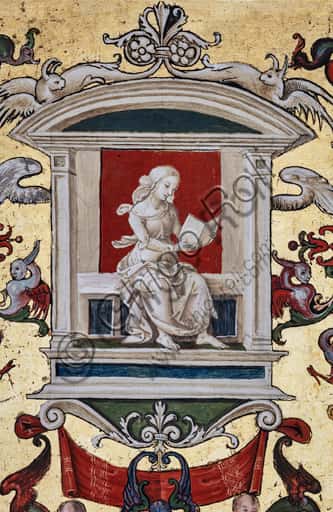 Grottesche della Libreria Piccolomini: Spandrel affrescato da Del Pacchia e Pacchiarotto
