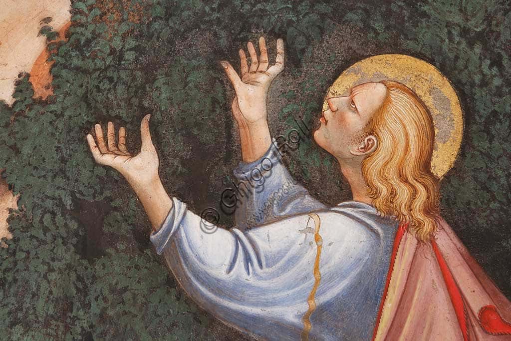 Affresco dell'Assunzione della Vergine con San Tommaso a Vignola