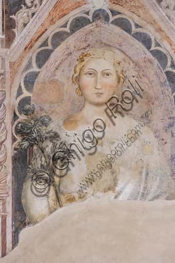 Allegory of the Dialectic: Fresco by Jacopo di Cione in Florence