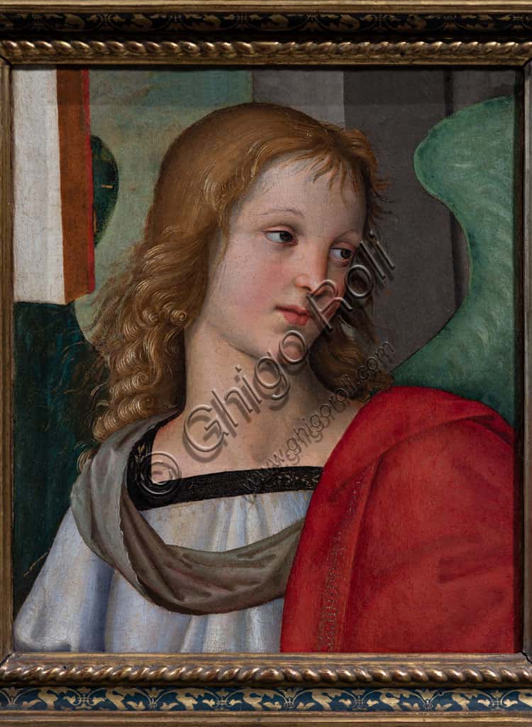 Angel by Raphael: The Baronci Altarpiece Fragment (1501)
