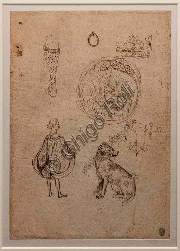 Pisanello's Preparatory Studies: Leg, Ring, Crown, and Male Figure