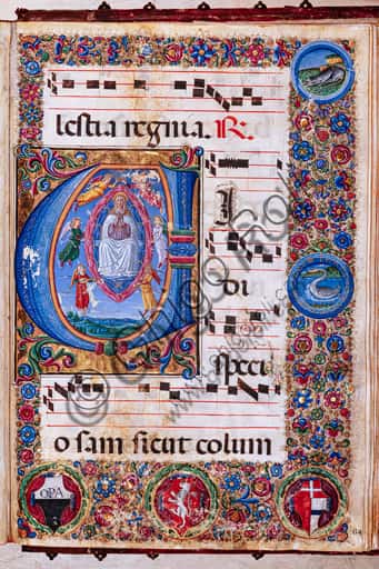Assumption of the Virgin: Illumination by Cozzarelli and Cignoni in Siena