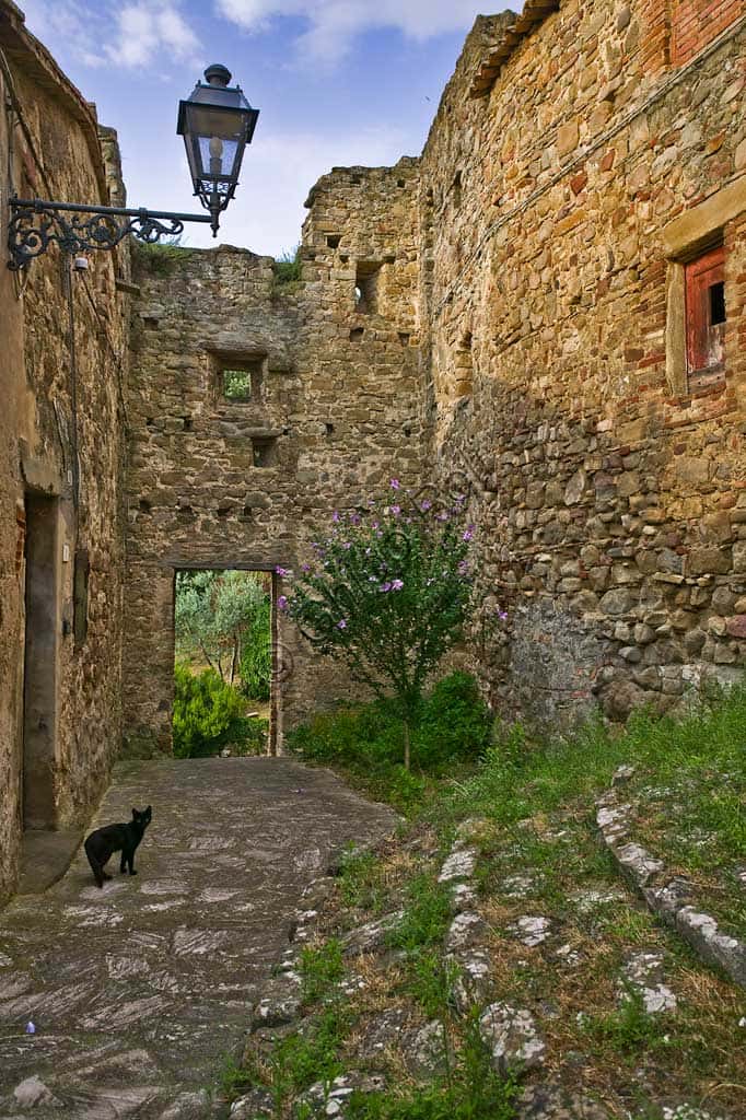 Hamlet of Ceralto: A Narrow Lane with Streetlamp and Black Cat