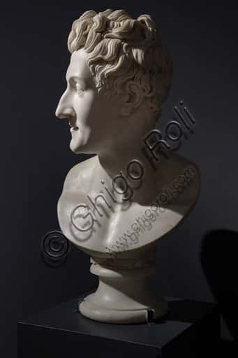 Colossal Bust of Leopoldo Cicognara by Antonio Canova