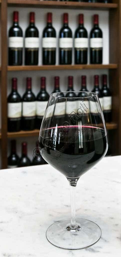 Sagrantino di Montefalco Wine Tasting: Sensory Analysis at Caprai Winery