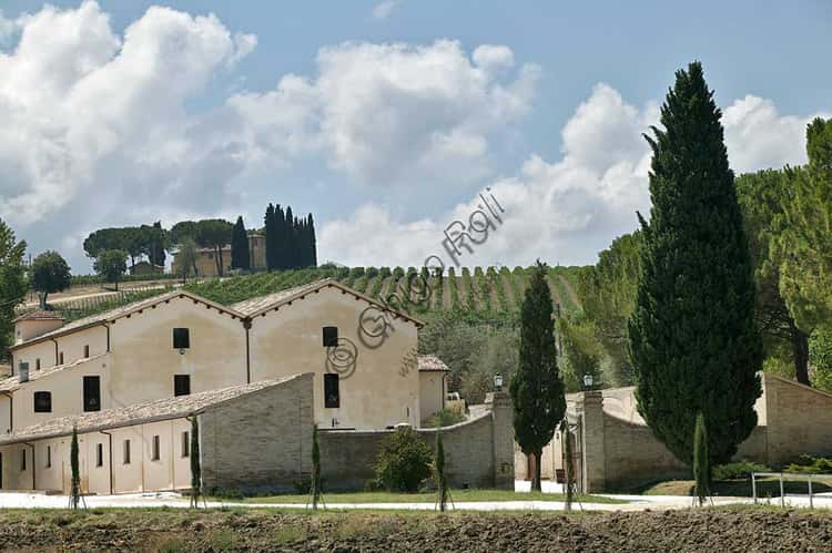 Cantina Scacciadiavoli a Cantinone: Sagrantino di Montefalco DOCG