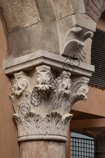 Corinthian Capital in Ghirlandina Tower, Modena (12th-13th Century)