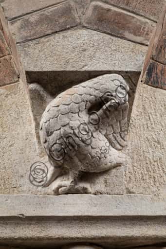 Corinthian Capital with Sculpted Bird in Modena's Ghirlandina Tower (XII-XIII c.)