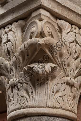 Corinthian Capital with Sculpted Face in Modena's Ghirlandina Tower