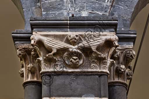 Capital with Dragons with Entwined Tails in Genoa Cathedral (1312)