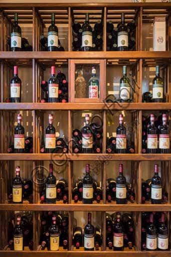 Castello d'Albola in Radda in Chianti: Chianti Wines from a Historic Hamlet