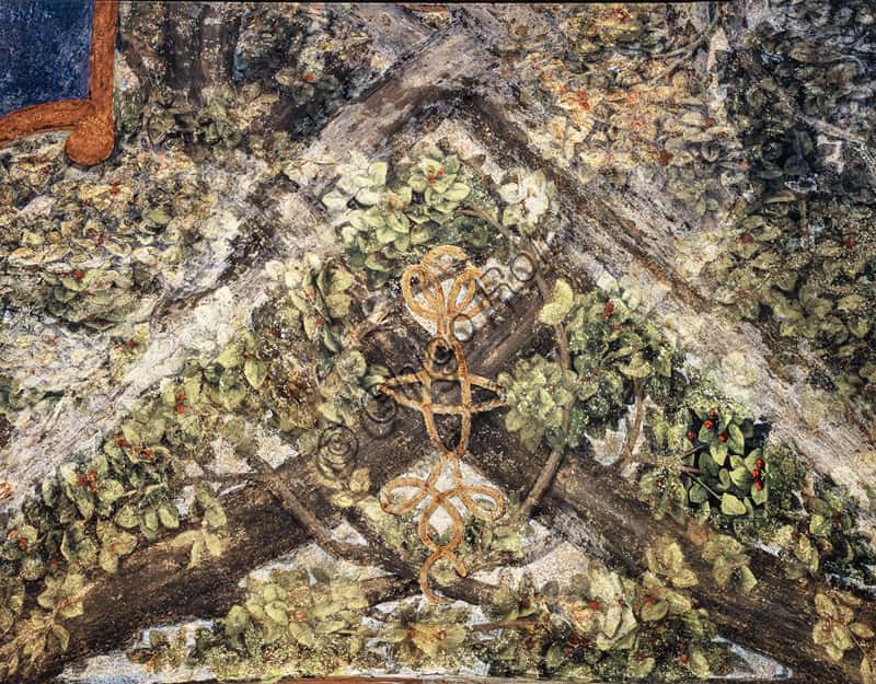 Leonardo da Vinci's Fresco: The Knots in the Vault of the Sala delle Asse
