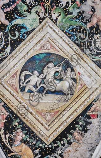 Affresco del Centauro: Grisaille nella Libreria Piccolomini