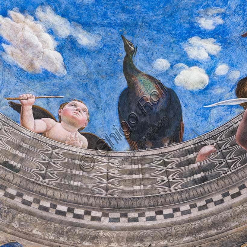 Oculus of the Camera Picta: The Putto and Peacock by Andrea Mantegna