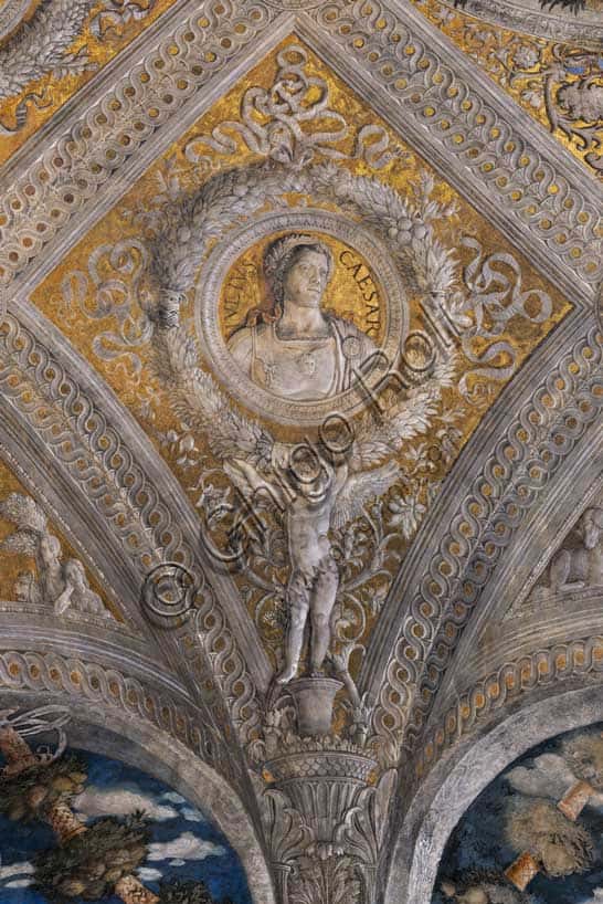 Vault of the Camera Picta: The Portrait of Julius Caesar by Mantegna