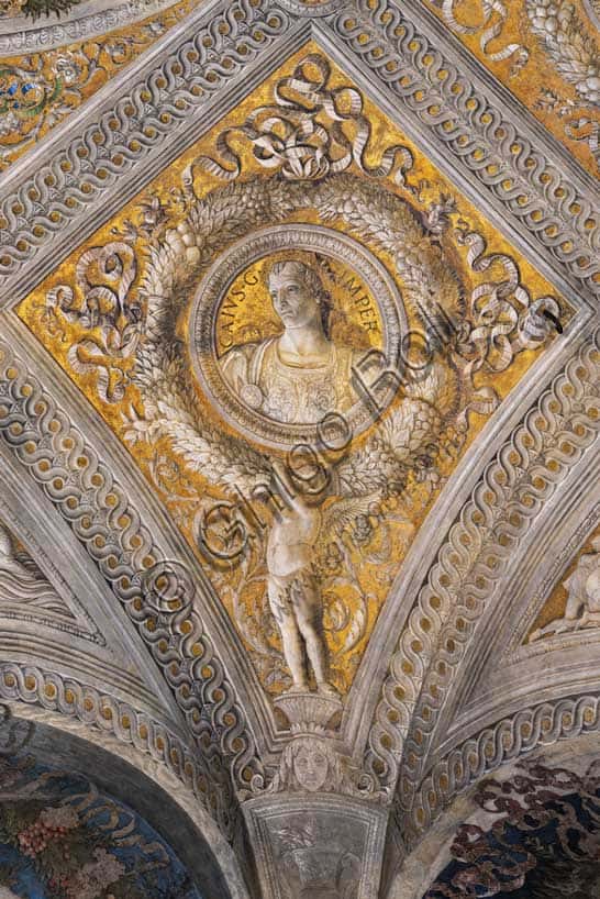 Vault of the Bridal Chamber: Lozenge with Portrait of Caligula in Mantua