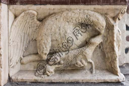 "Eagle Clutching a Prey" Panel, St. Lawrence Cathedral in Genoa