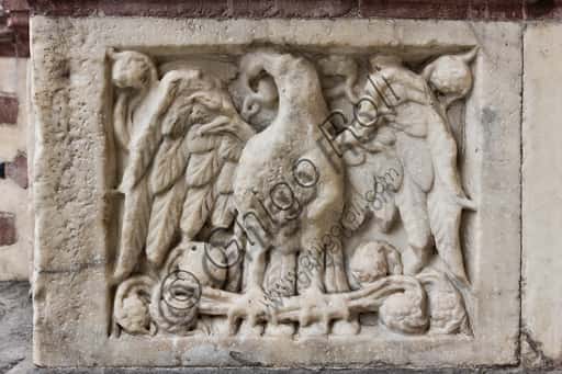 Eagle with Spread Wings: Panel of Genoa's St. Lawrence Cathedral