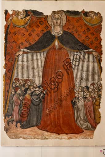 Madonna della Misericordia (1428) di Giovanni di Corraduccio, detto il Mazzaforte