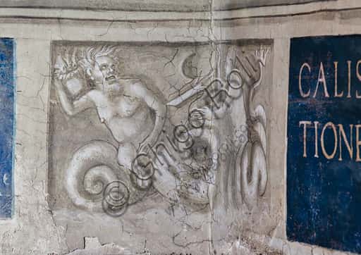 Marine Deities Grisaille in the Piccolomini Library, Siena Duomo