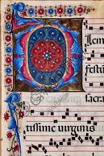 Iniziale Fogliacea di Liberale da Verona: Manoscritto del Corale 12.N