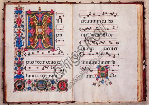 Iniziale Fogliacea del Corale 5.E nella Libreria Piccolomini
