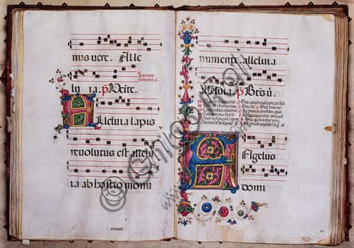 Iniziale Fogliacea di Pellegrino di Mariano nel Corale della Libreria Piccolomini