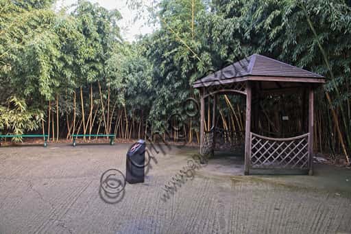 Fontanellato: Bamboo Corner in the Labirinto della Masone