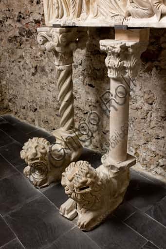 Funerary Monument of Cardinal Luca Fieschi: Gothic Sculpture Lions