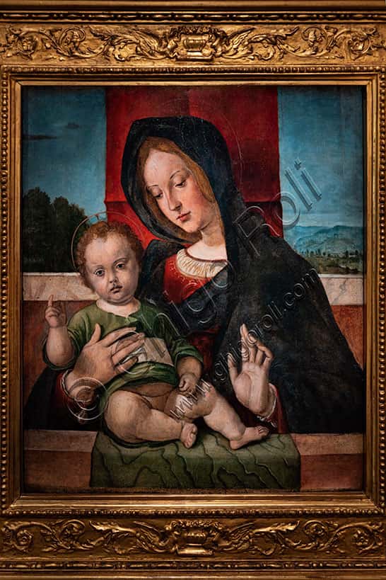 Madonna with Infant Jesus by Bartolomeo Montagna: Painting Analysis