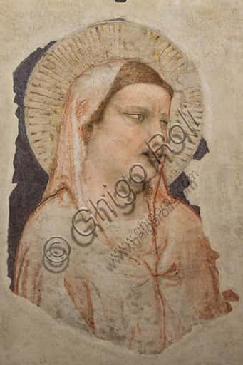 Grieving Madonna by Giotto in the Basilica of the Holy Cross, Florence