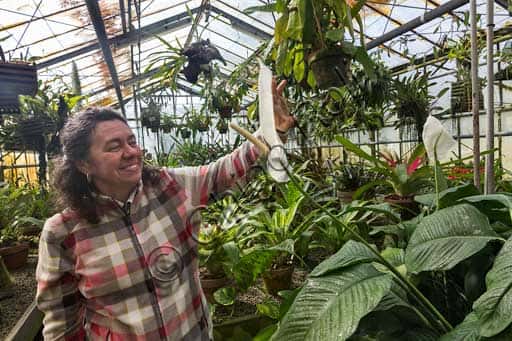 Tropical Greenhouse of the University of Padua Botanical Garden