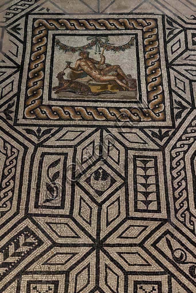 Dionysus and Panther Roman Mosaic | House of Dionysus, Brescia