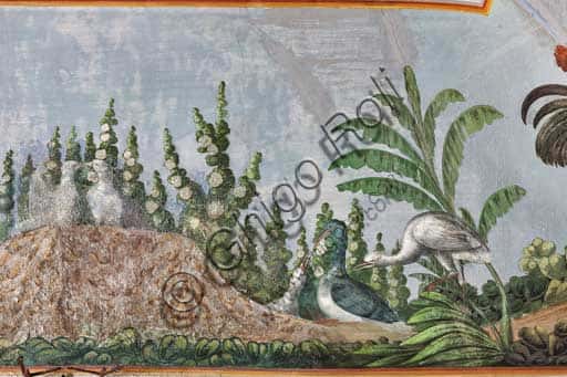 Volta affrescata di Palazzo dei Normanni: dettaglio con uccelli e fiori