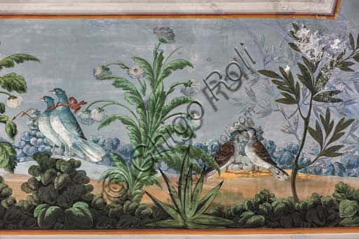 Volta Affrescata con Colombe e Fiori nella Sala degli Uccelli