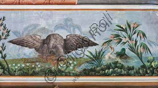 Volta affrescata nella Sala degli Uccelli: l'aquila e i germani