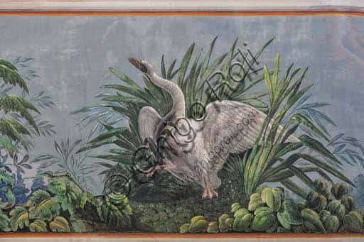 Volta affrescata della Sala degli Uccelli: dettaglio con cigno nel Palazzo dei Normanni