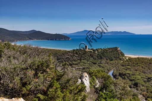 Maremma Regional Park View: Cala Forno, Collelungo Beach and Tower
