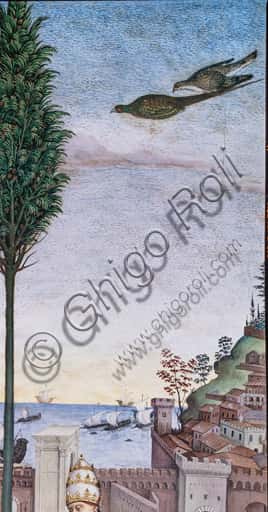 Pinturicchio: Affresco con falcone nella Libreria Piccolomini