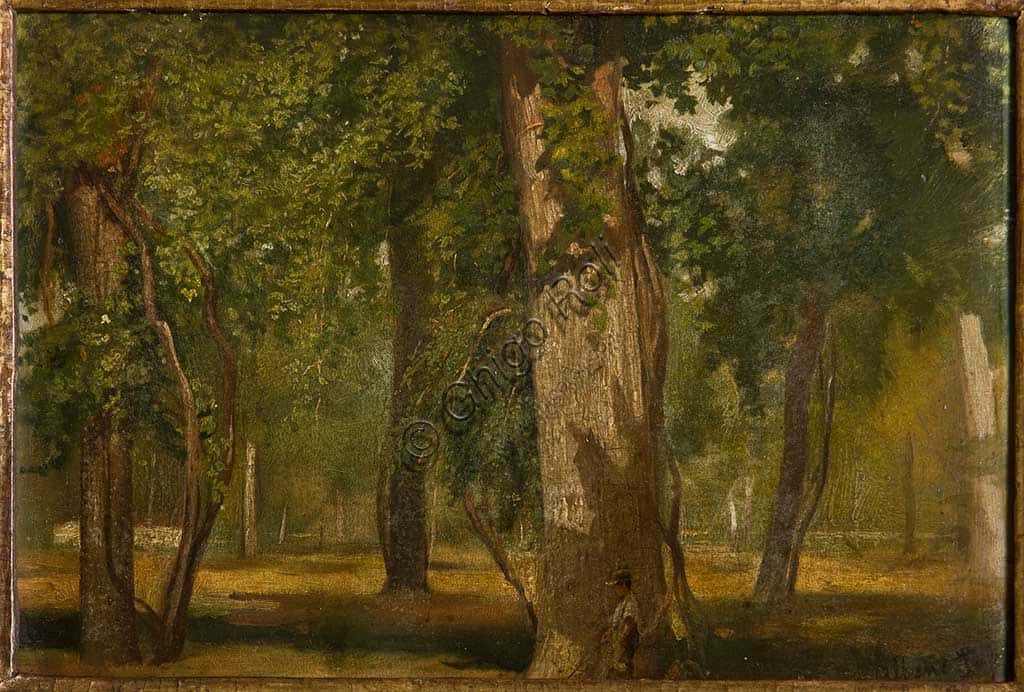 Il bosco: quadro olio su tavola di Albano Lugli - Collezione Assicoop Unipol