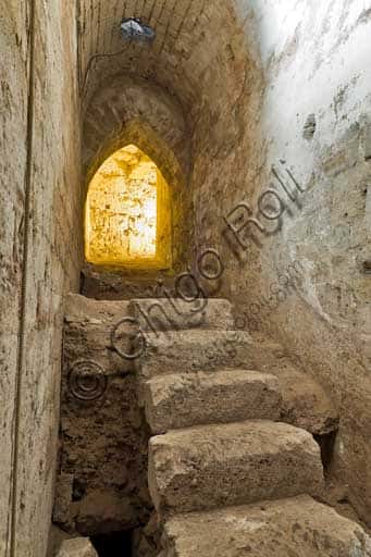 The Dungeon Staircase in the Palace of the Normans: Montalto Wing & Fountain Courtyard