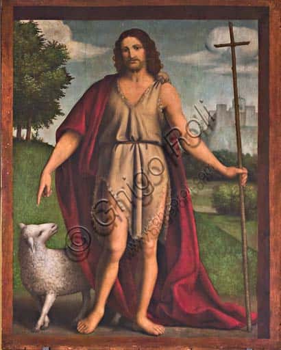 St. John the Baptist: Detail from Bernardino Luini's Polyptych in Bobbio