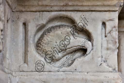 Eagle Head: Carved Panel on the Main Portal of Genoa Cathedral