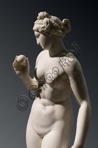 Victorious Venus by Thorvaldsen: Neoclassical Carrara Marble Sculpture